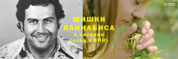 дурь Краснослободск