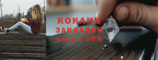 дурь Краснослободск