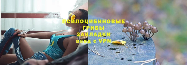 дурь Краснослободск