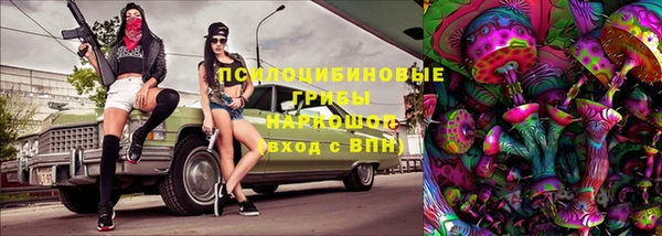 дурь Краснослободск