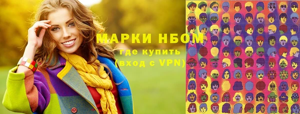 дурь Краснослободск