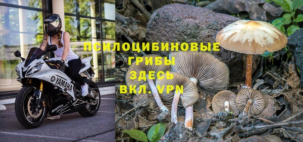 дурь Краснослободск