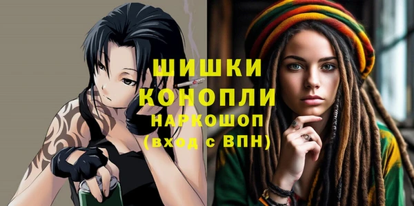 дурь Краснослободск