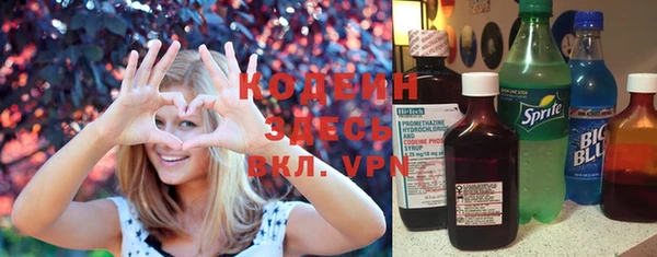 дурь Краснослободск
