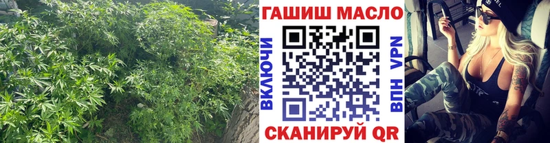 Купить где  Горячеводский  Дистиллят ТГК вейп с тгк 