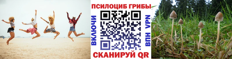 Купить закладки Горячеводский Псилоцибиновые грибы мицелий